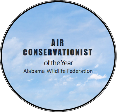 Air Cconservation Award Bagde